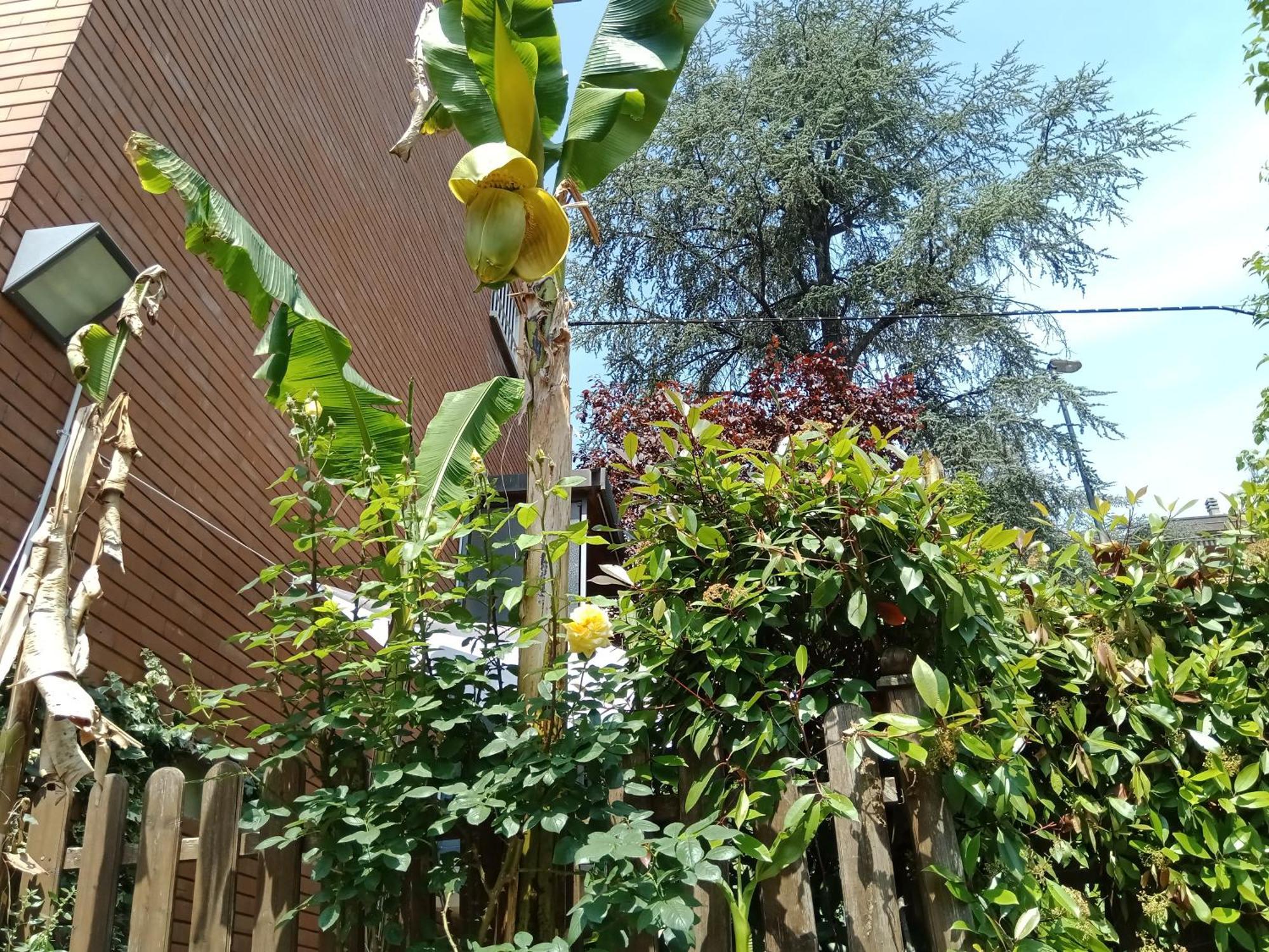 A Casa Di Gemma Bolonha Exterior foto
